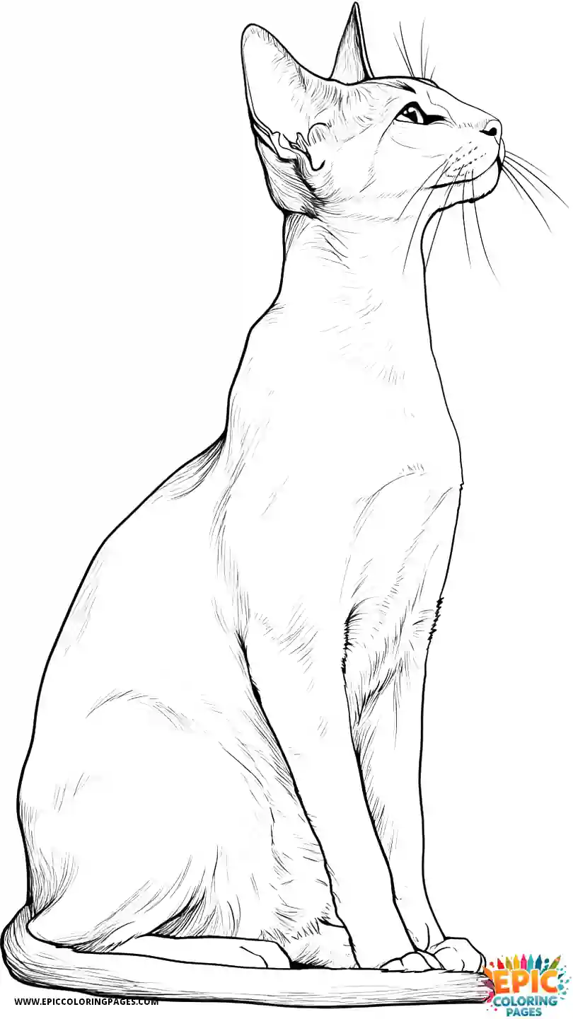 Abyssinian Cat Abyssinian cat anime gracefully sitting