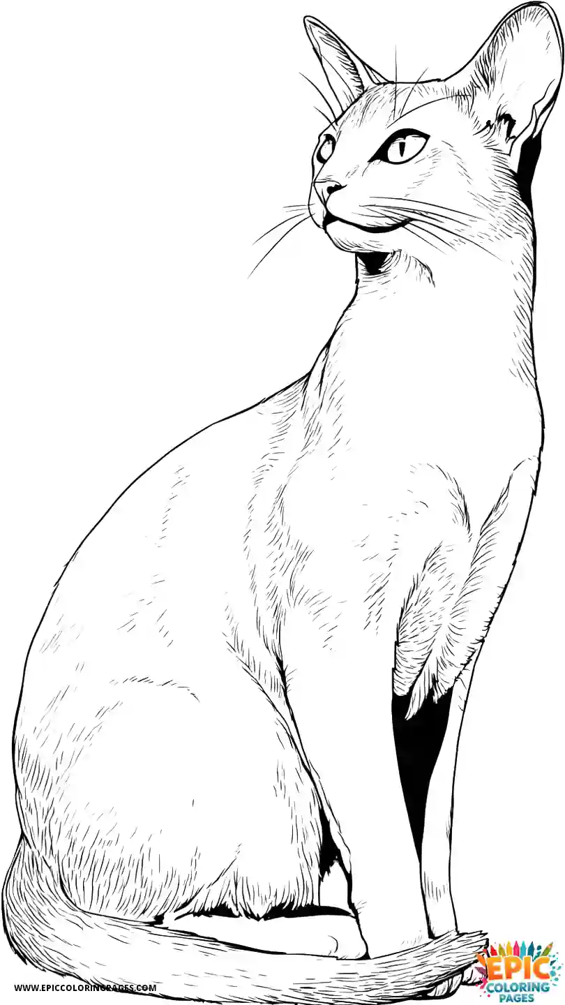 Abyssinian Cat Abyssinian cat anime in sitting pose