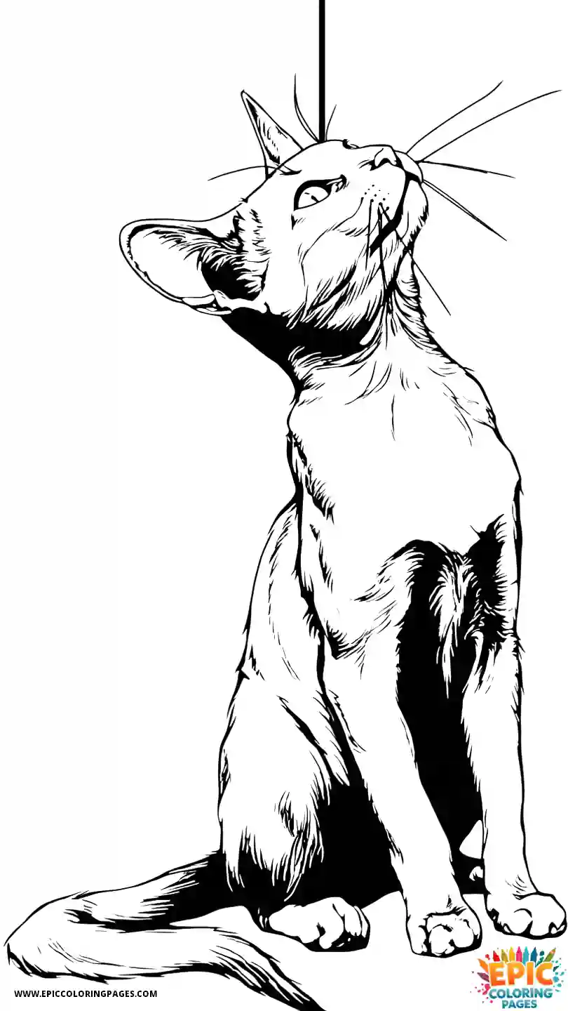 Abyssinian Cat Abyssinian cat anime swatting toy