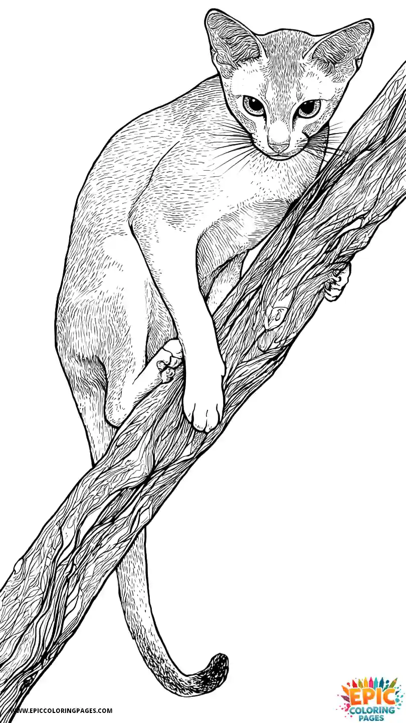 Abyssinian Cat Abyssinian cat cartoon climbing tree branch