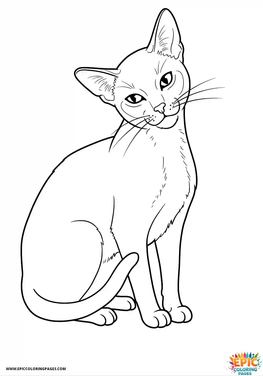 Abyssinian Cat Abyssinian cat cartoon doing flexible grooming
