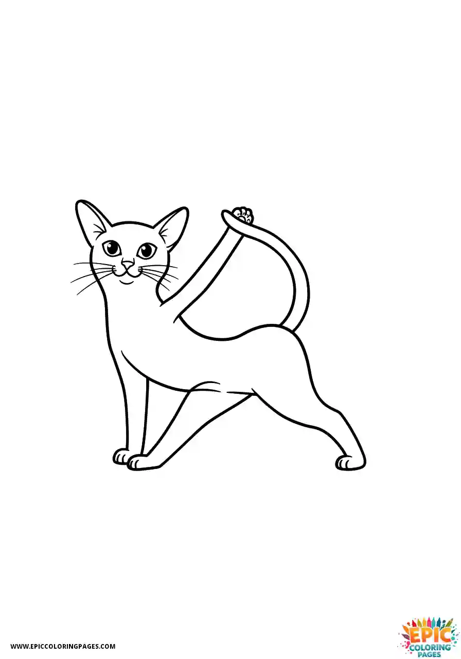Abyssinian Cat Abyssinian cat cartoon flexible doing yoga