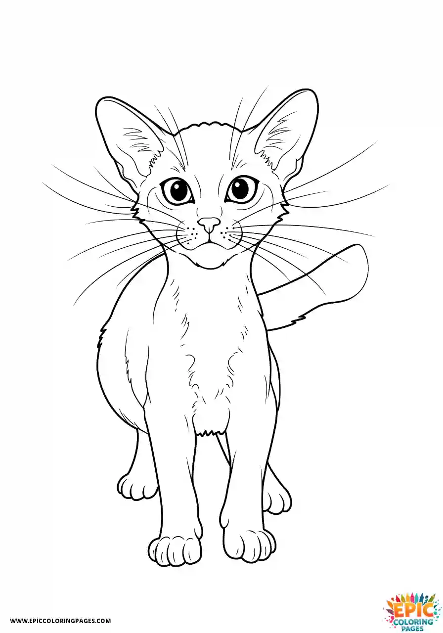 Abyssinian Cat Abyssinian cat cartoon in gust of wind