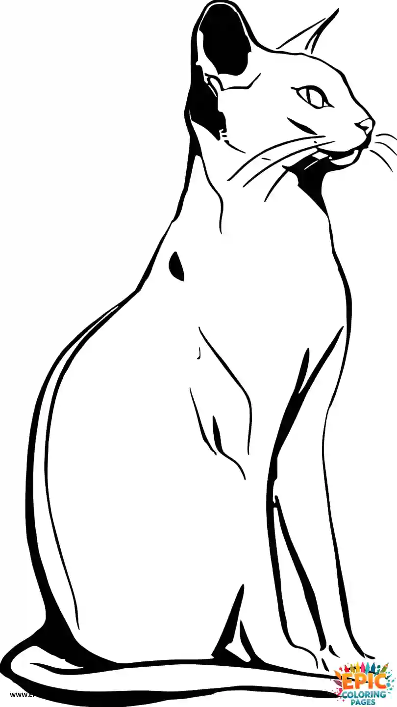 Abyssinian Cat Abyssinian cat cartoon looking out window