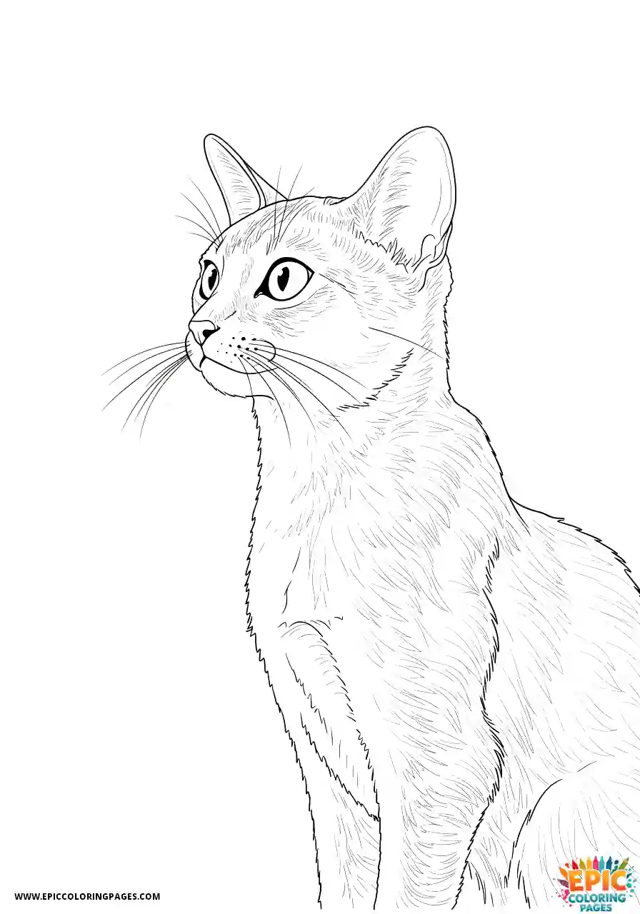 Abyssinian Cat Abyssinian cat cartoon looking thoughtful at window