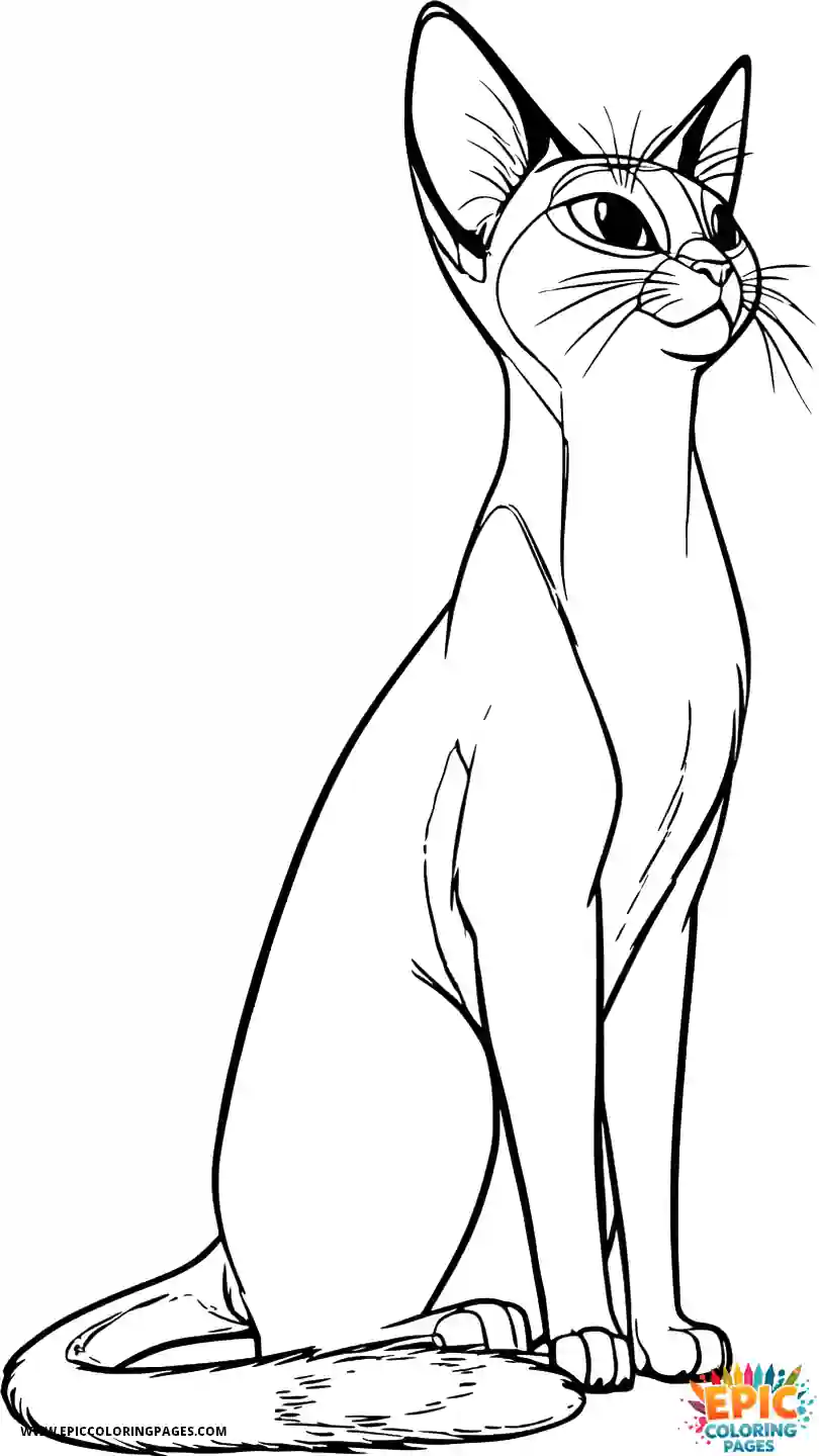 Abyssinian Cat Abyssinian cat cartoon with pensive look