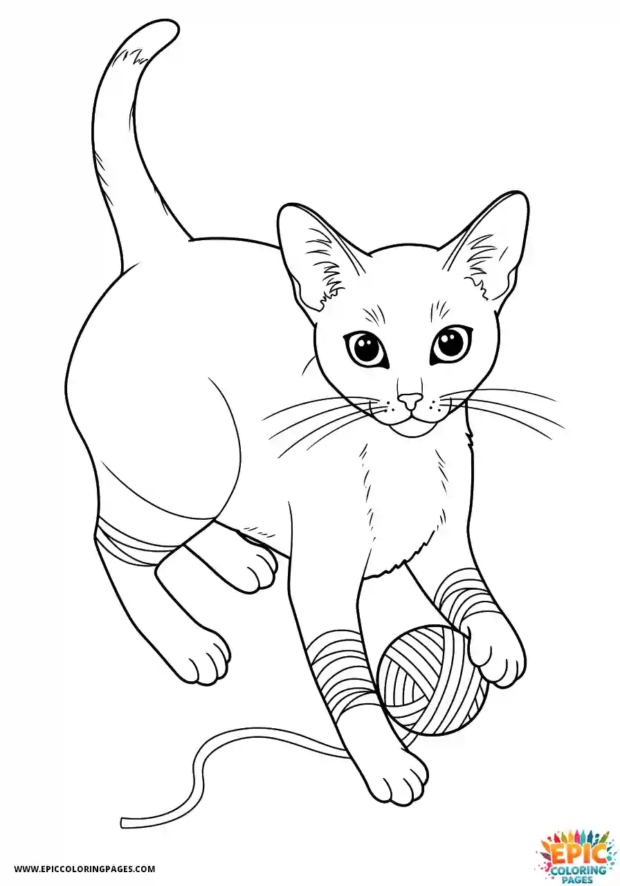 Abyssinian Cat Abyssinian cat cartoon playing with yarn overhead