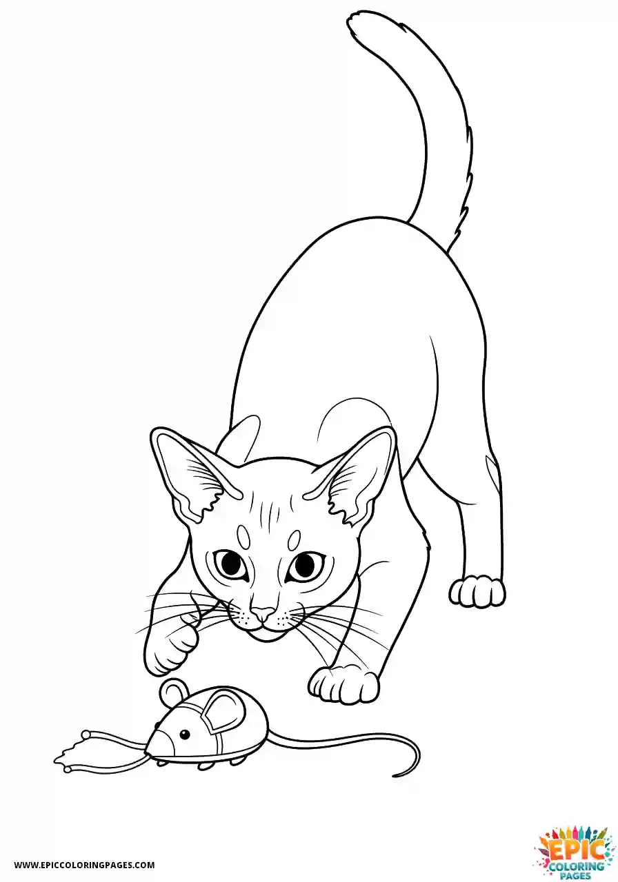 Abyssinian Cat Abyssinian cat cartoon pouncing on mouse hunt