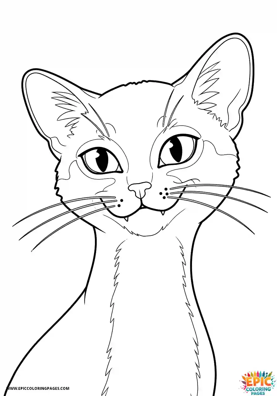 Abyssinian Cat Abyssinian cat cartoon with prank smile