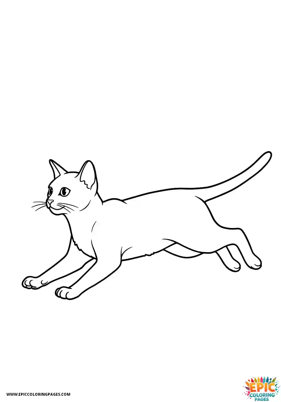 Abyssinian Cat Abyssinian cat cartoon running at full speed
