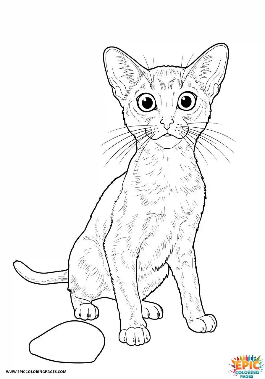 Abyssinian Cat Abyssinian cat cartoon scared dropping an item