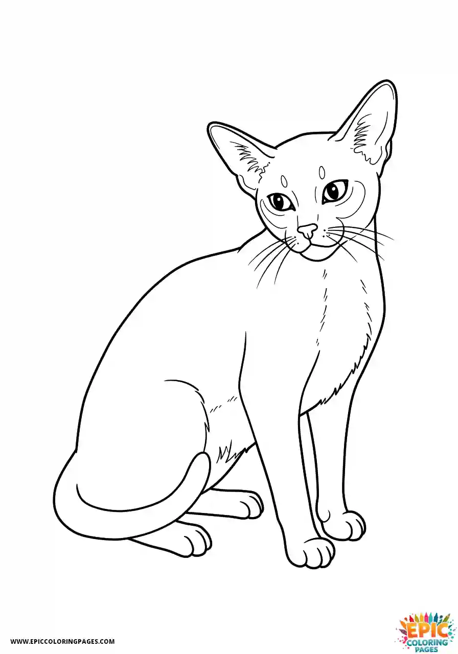 Abyssinian Cat Abyssinian cat cartoon scratching ear