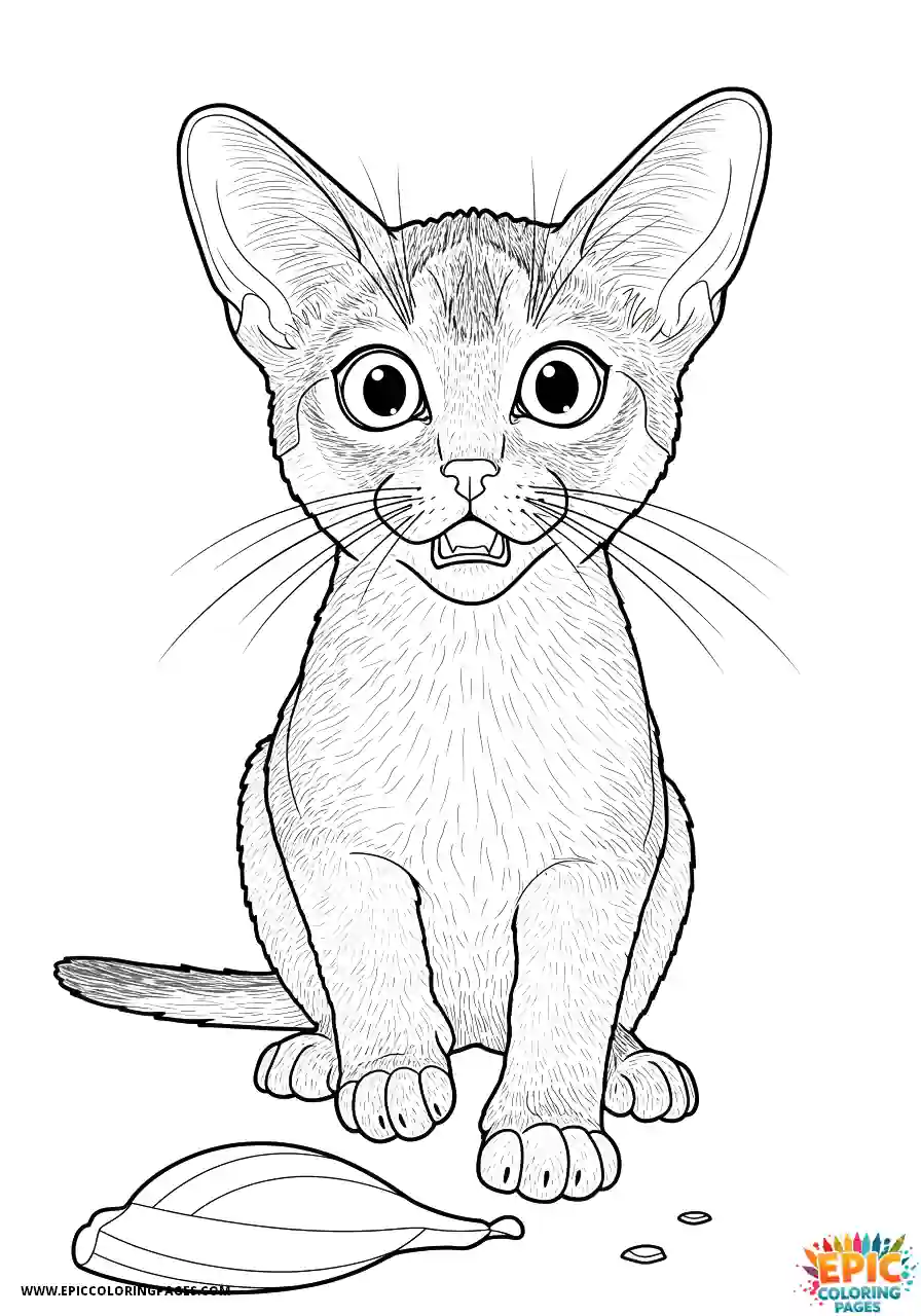 Abyssinian Cat Abyssinian cat cartoon with shocked reaction