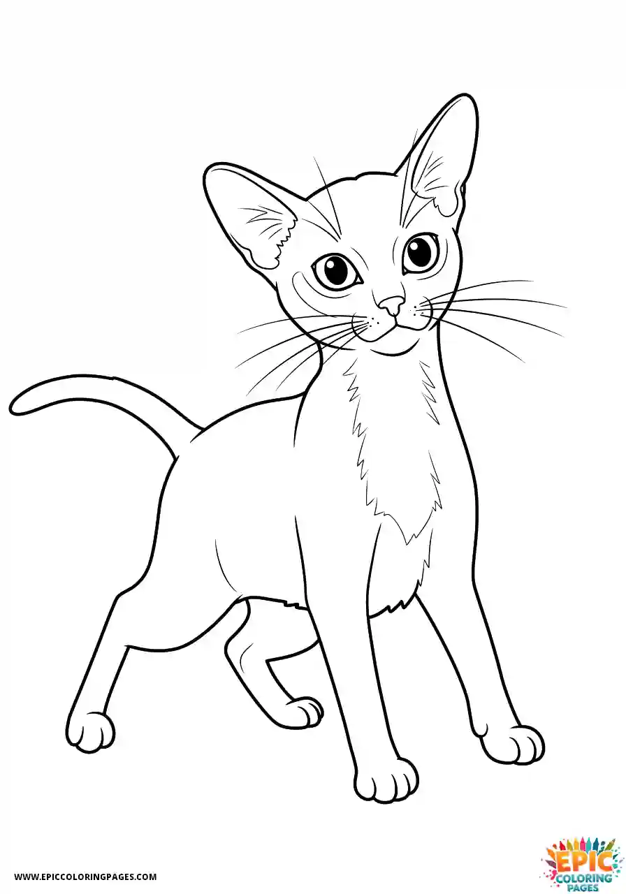 Abyssinian Cat Abyssinian cat cartoon in strong wind
