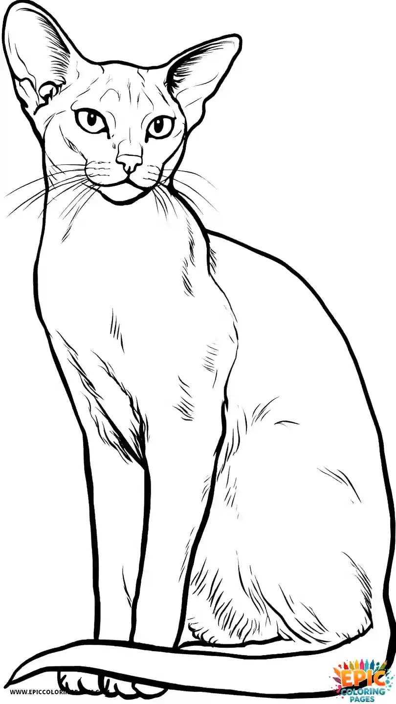 Abyssinian Cat Abyssinian cat kawaii catching tail