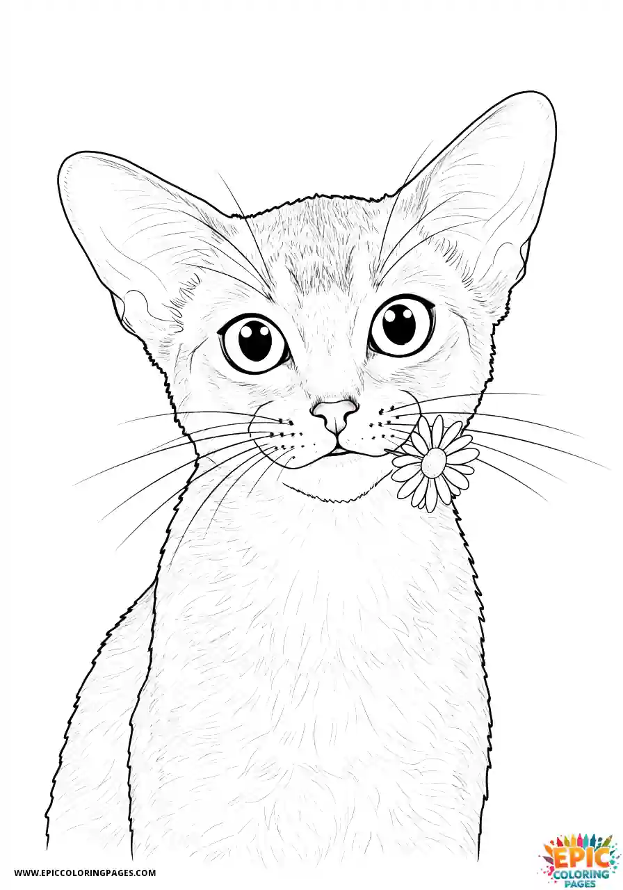 Abyssinian Cat Abyssinian cat kawaii holding daisy in mouth