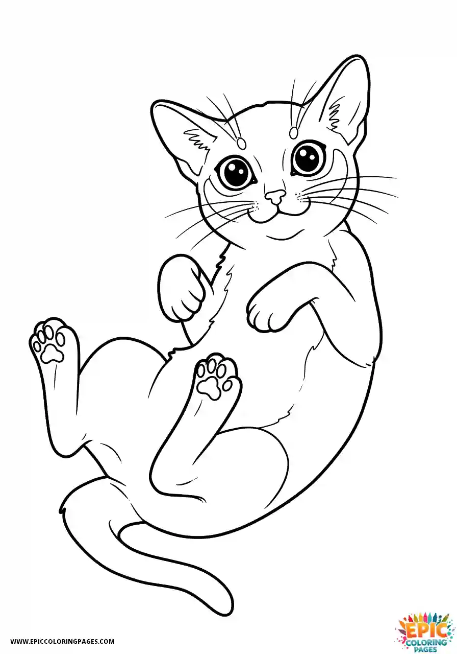 Abyssinian Cat Abyssinian cat kawaii rolling with curled paws