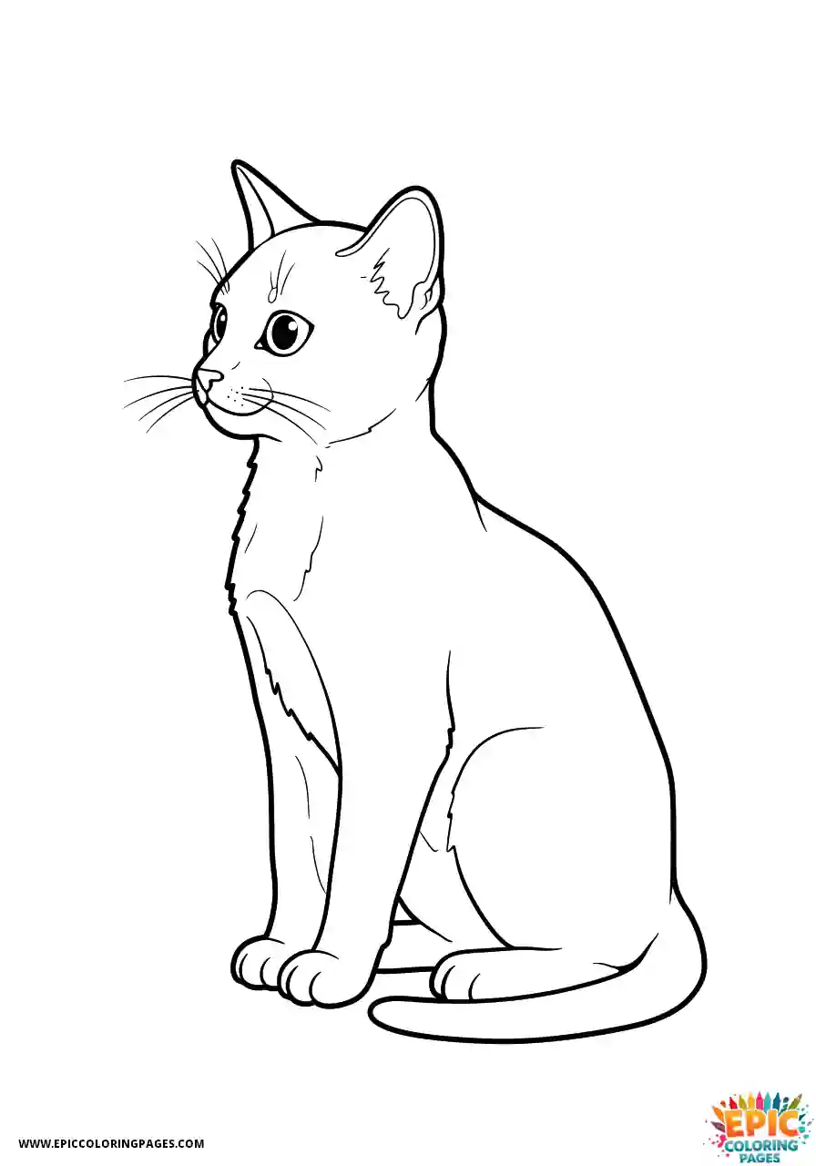 Abyssinian Cat Abyssinian cat kawaii sitting neatly with tail wrapped