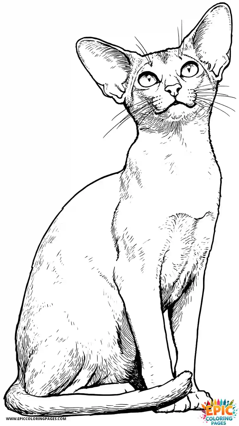 Abyssinian Cat Abyssinian cat manga chasing laser