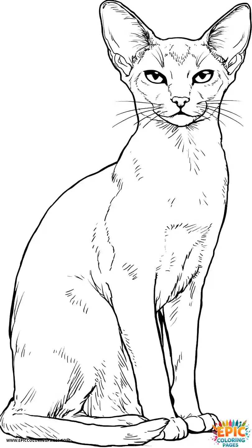 Abyssinian Cat Abyssinian cat manga cleaning paw