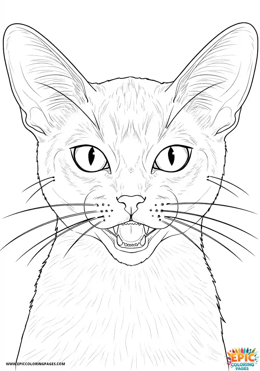 Abyssinian Cat Abyssinian cat manga with fierce snarl close up