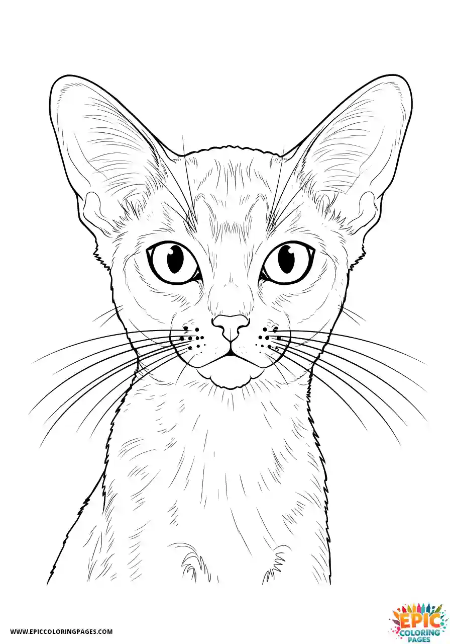 Abyssinian Cat Abyssinian cat manga showing powerful presence