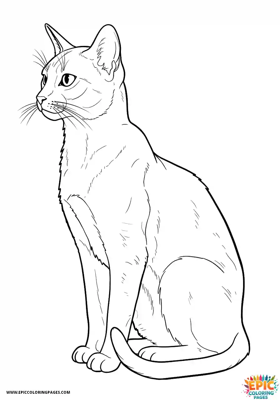 Abyssinian Cat Abyssinian cat manga side view looking pensive