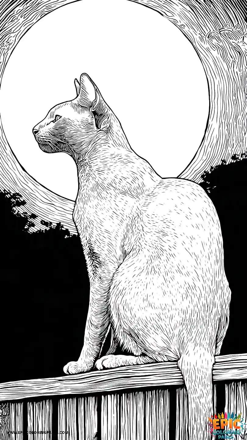 Abyssinian Cat Abyssinian cat realistic art silhouetted against moon