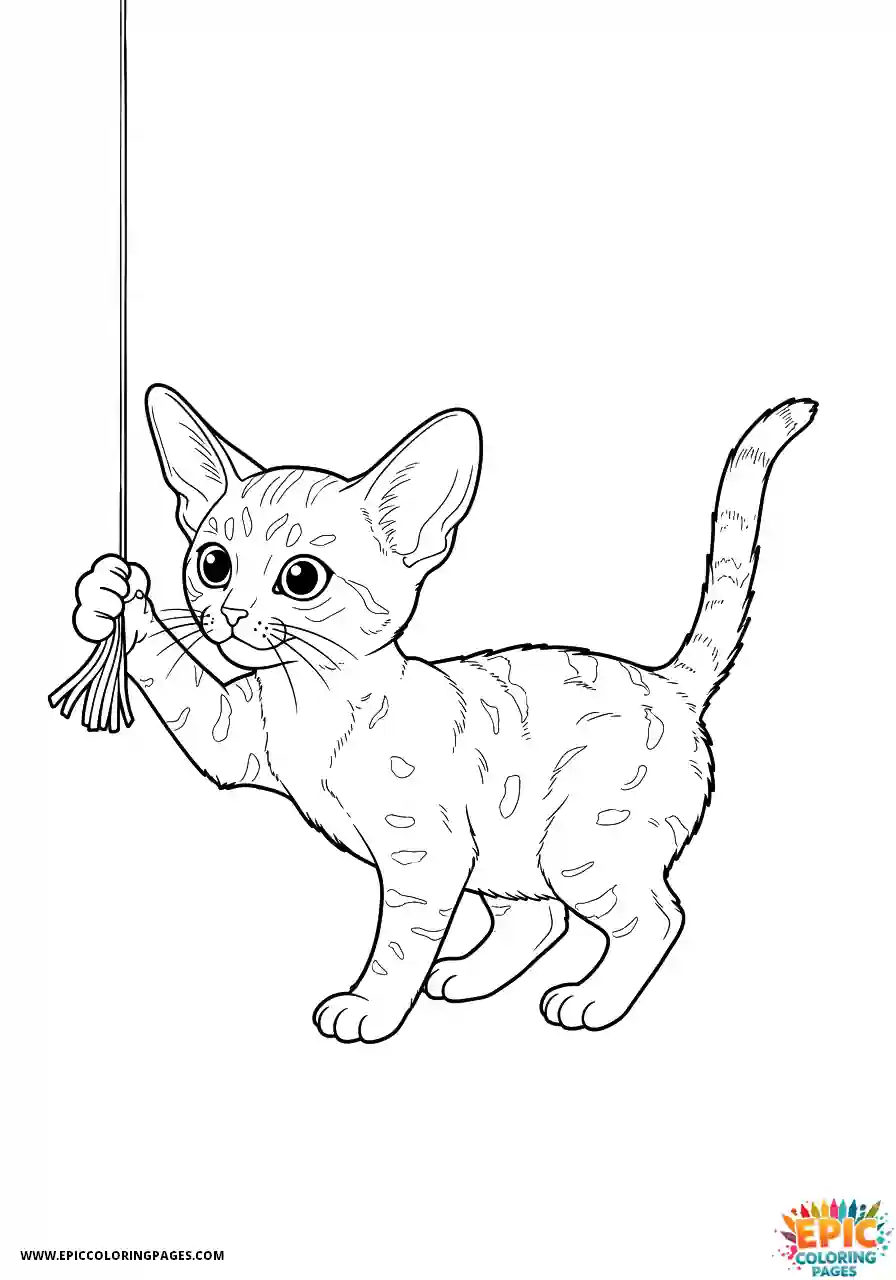Abyssinian Cat Abyssinian cat realistic batting dangling string