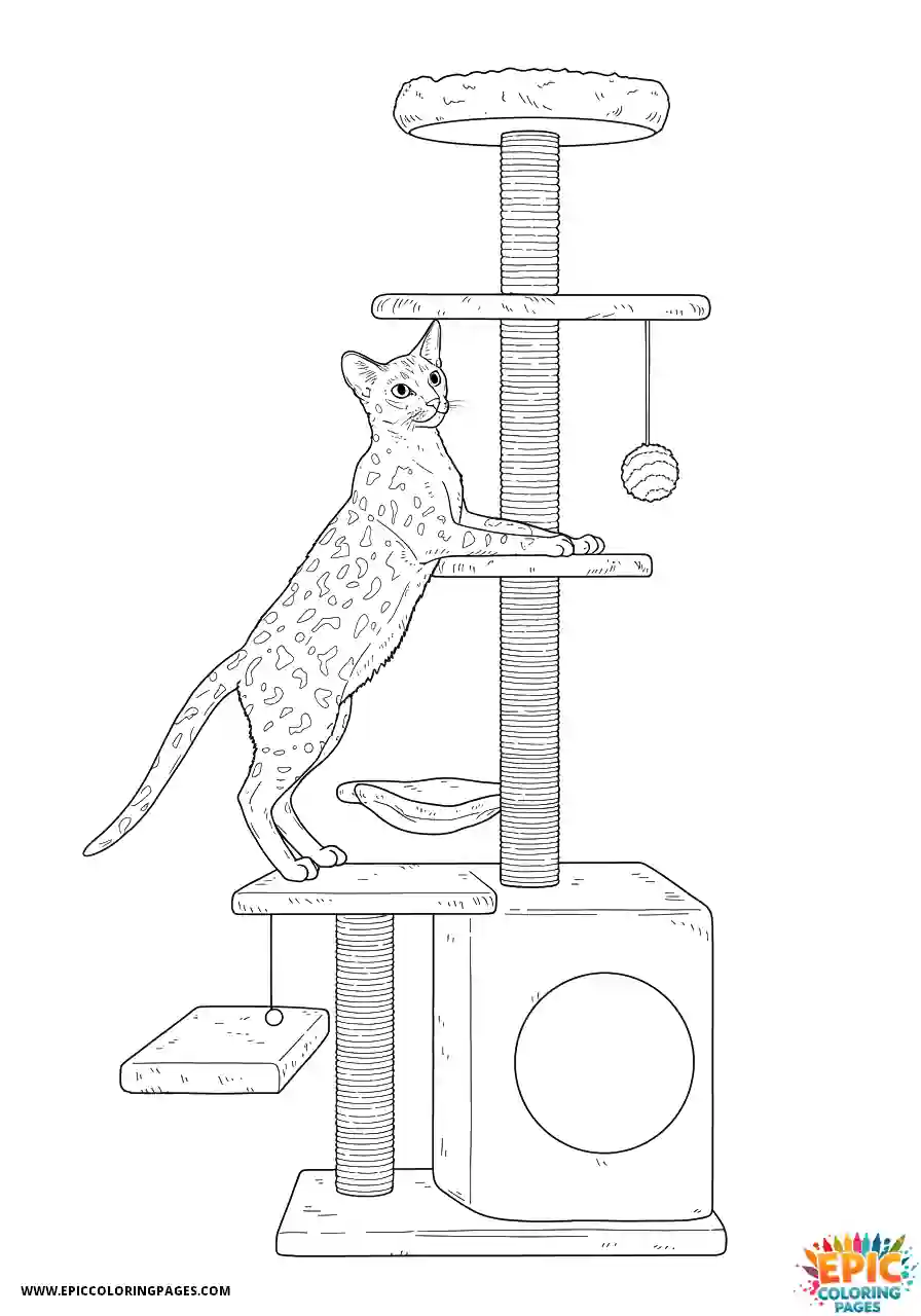 Abyssinian Cat Abyssinian cat realistic climbing cat tree showing athletic ability