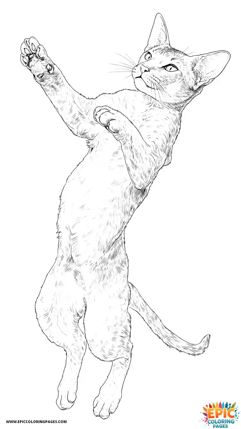Abyssinian Cat Abyssinian cat realistic doing athletic jump