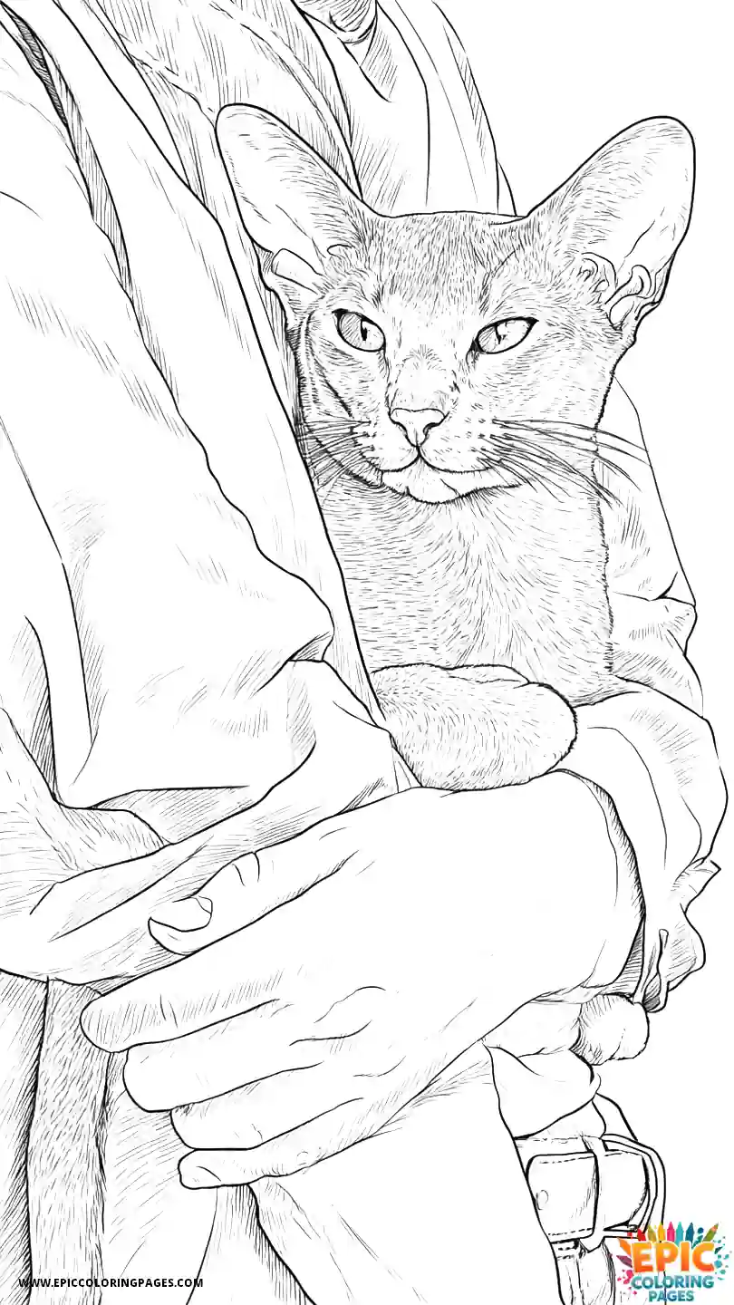 Abyssinian Cat Abyssinian cat realistic giving leg rub