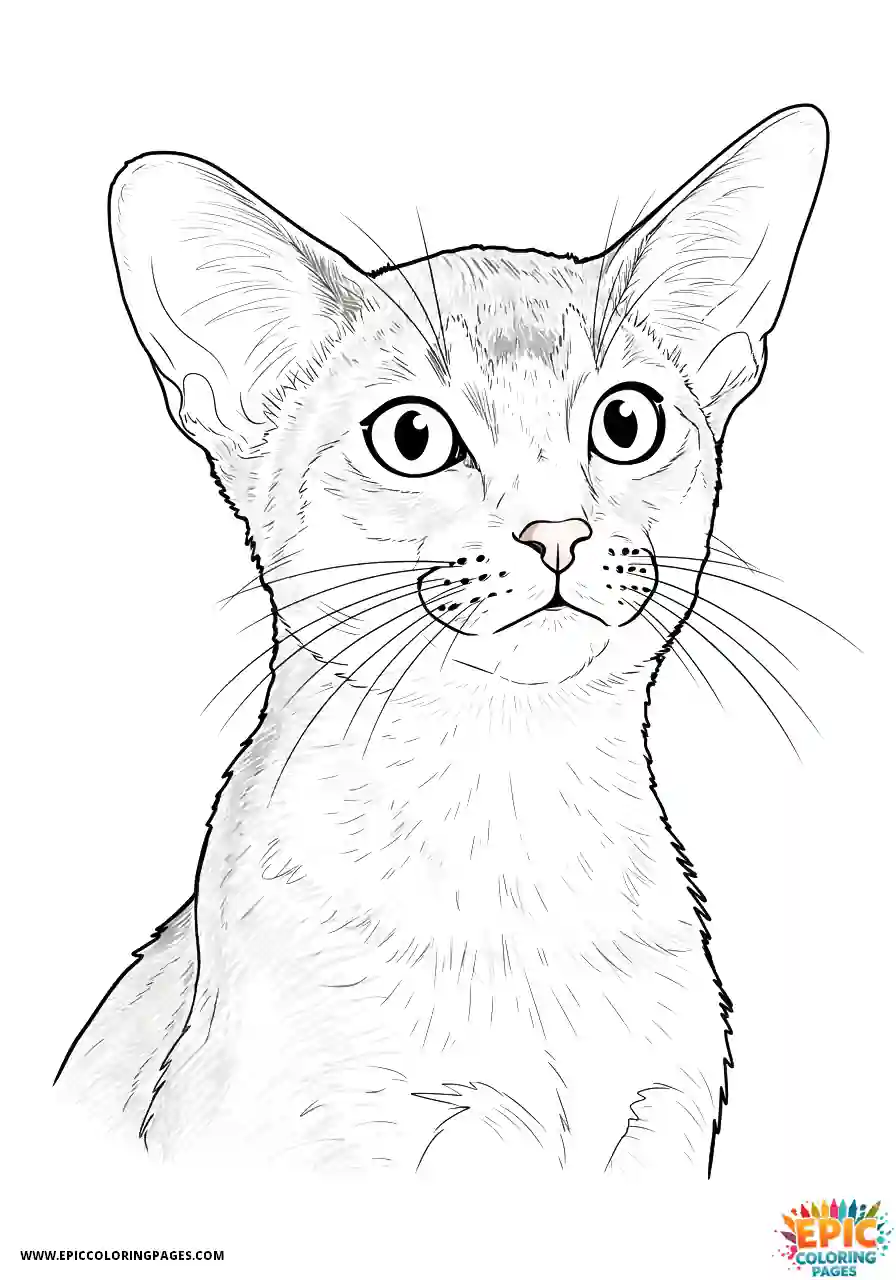 Abyssinian Cat Abyssinian cat realistic headshot portrait