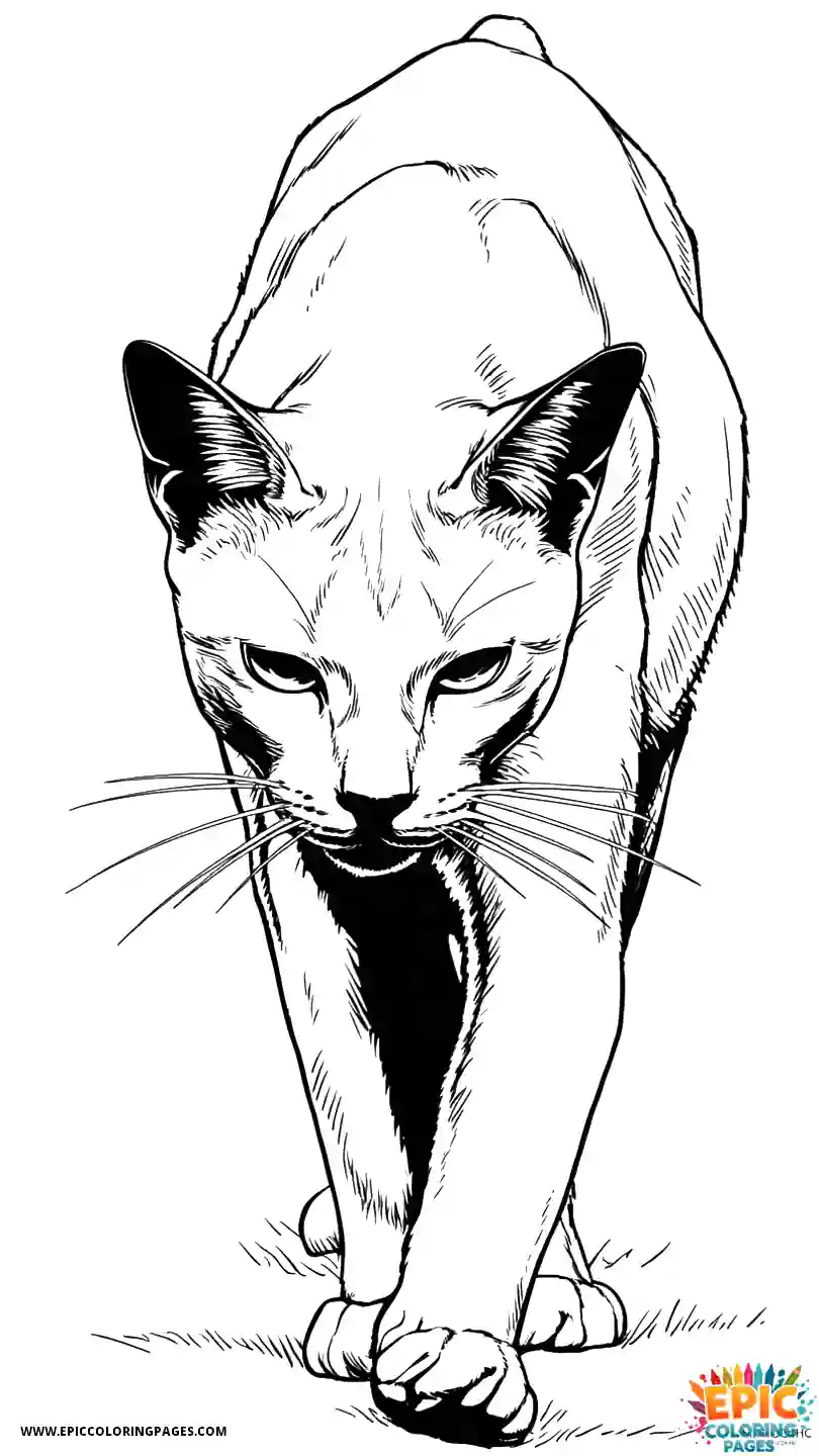 Abyssinian Cat Abyssinian cat realistic in hunting pose