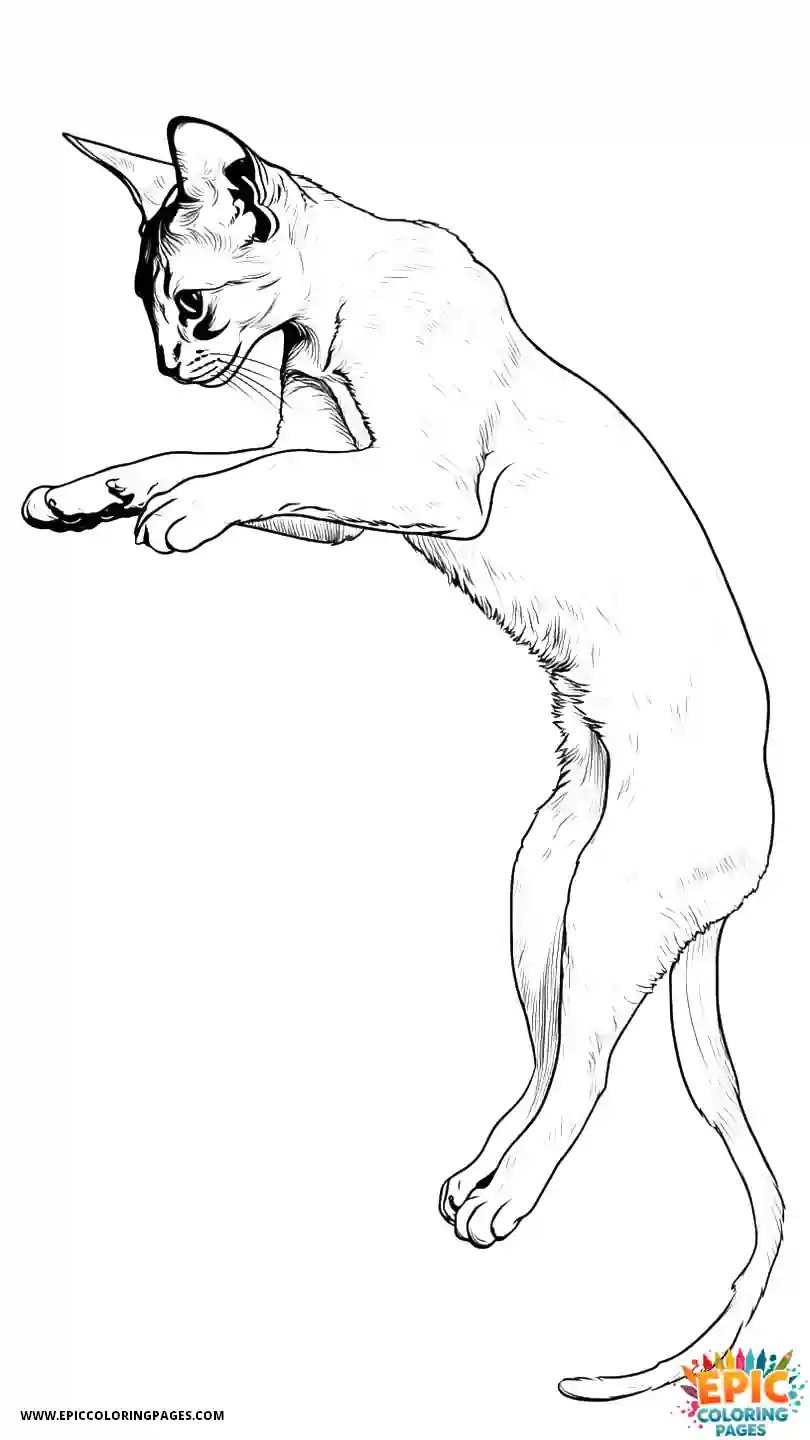 Abyssinian Cat Abyssinian cat realistic in jumping action