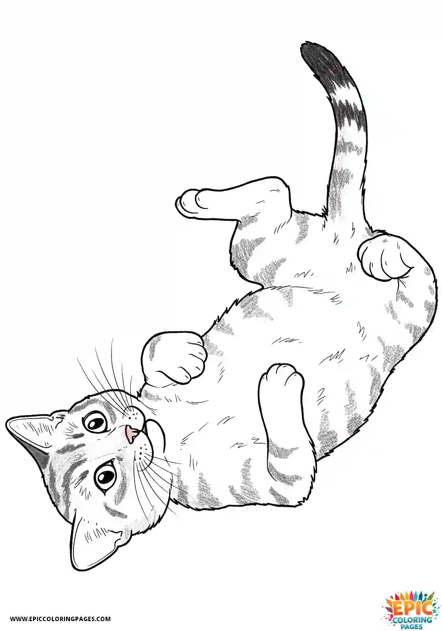 Abyssinian Cat Abyssinian cat realistic kitten rolling on back