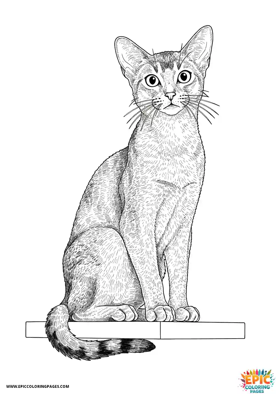 Abyssinian Cat Abyssinian cat realistic looking down at camera from high shelf