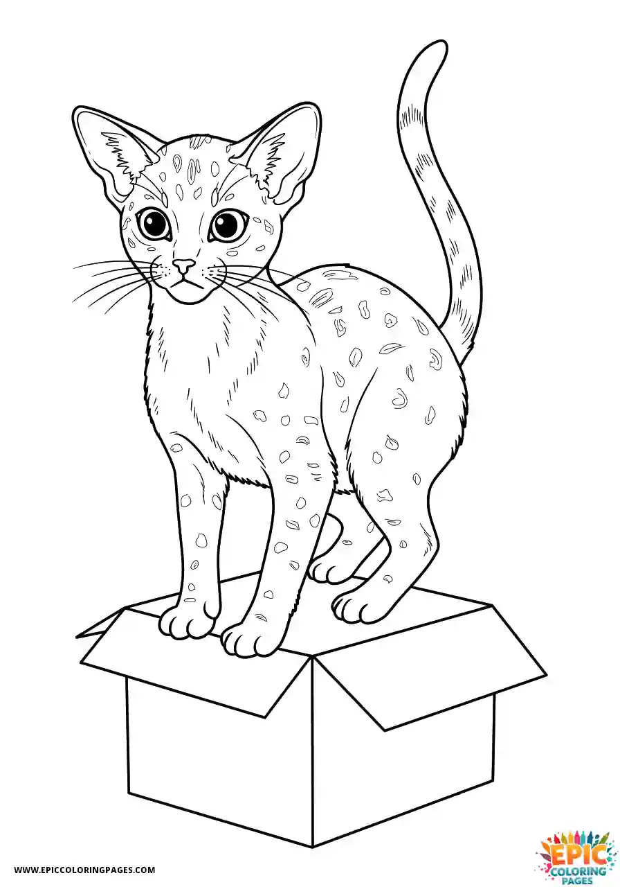 Abyssinian Cat Abyssinian cat realistic making funny cute face