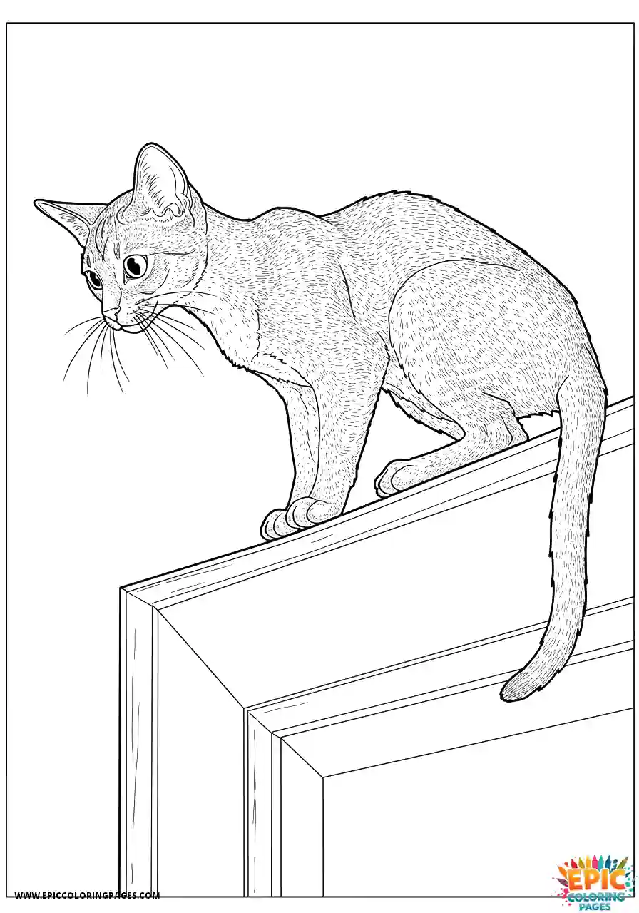 Abyssinian Cat Abyssinian cat realistic perched on top of door looking down
