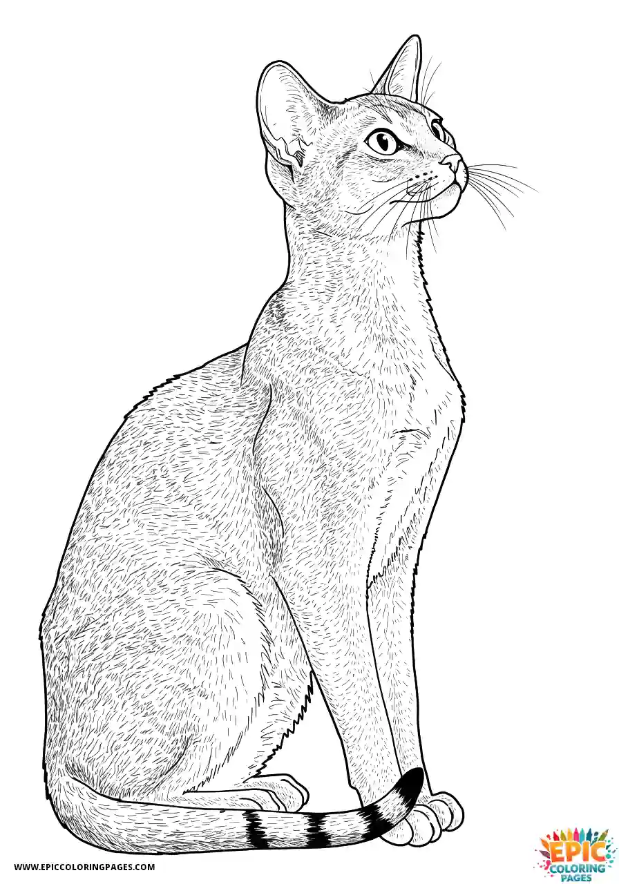 Abyssinian Cat Abyssinian cat realistic sitting in regal pose profile view