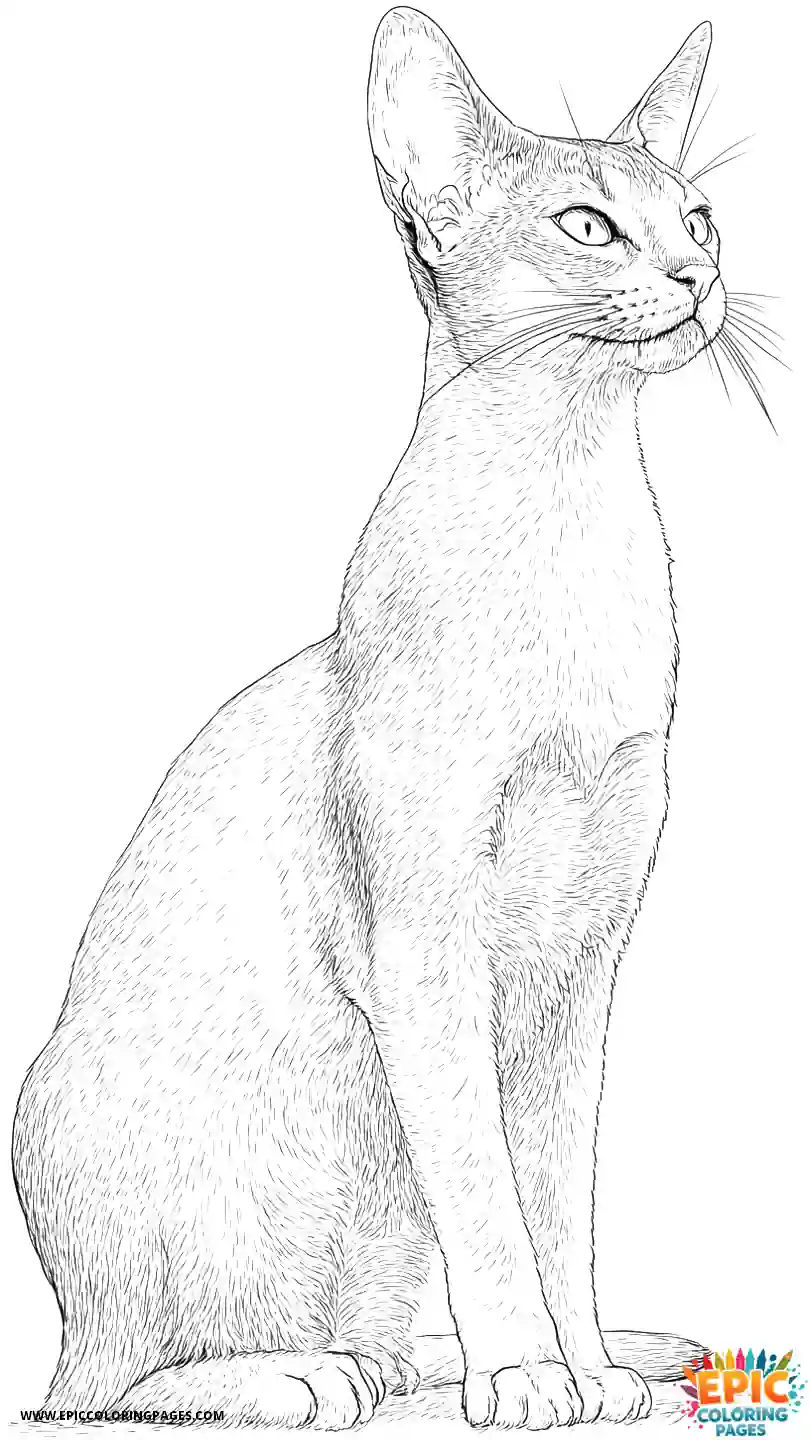 Abyssinian Cat Abyssinian cat realistic standing gracefully from side
