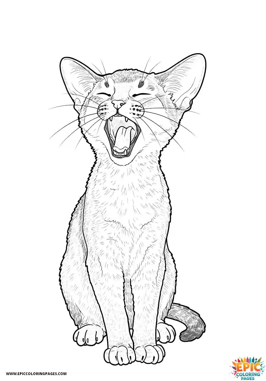 Abyssinian Cat Abyssinian cat realistic with yawn expression