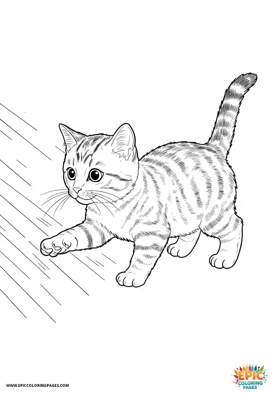 American Shorthair Cat American shorthair kitten in realistic style chasing a sunbeam