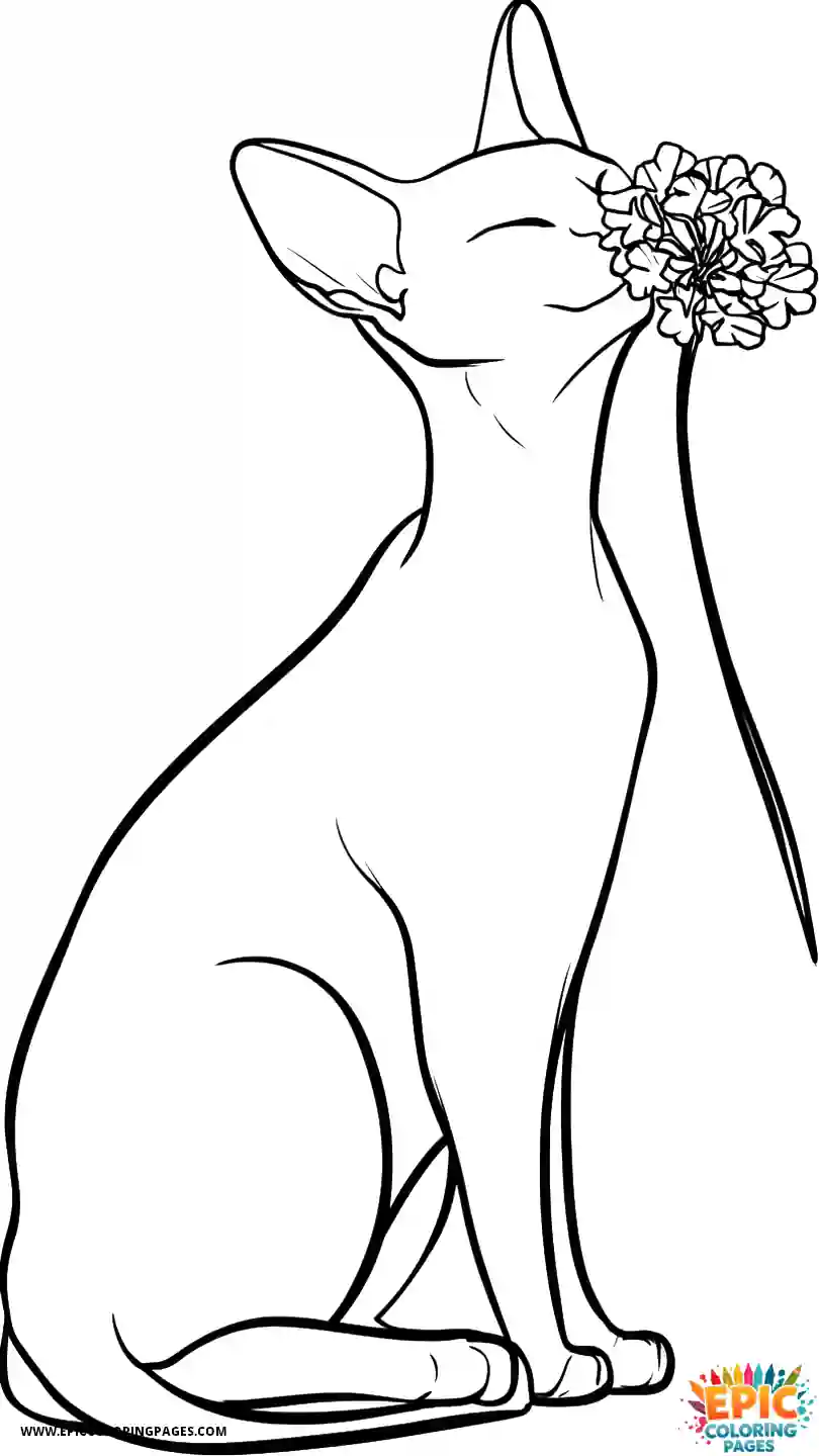 Abyssinian Cat Cute Abyssinian cat kawaii sniffing flower