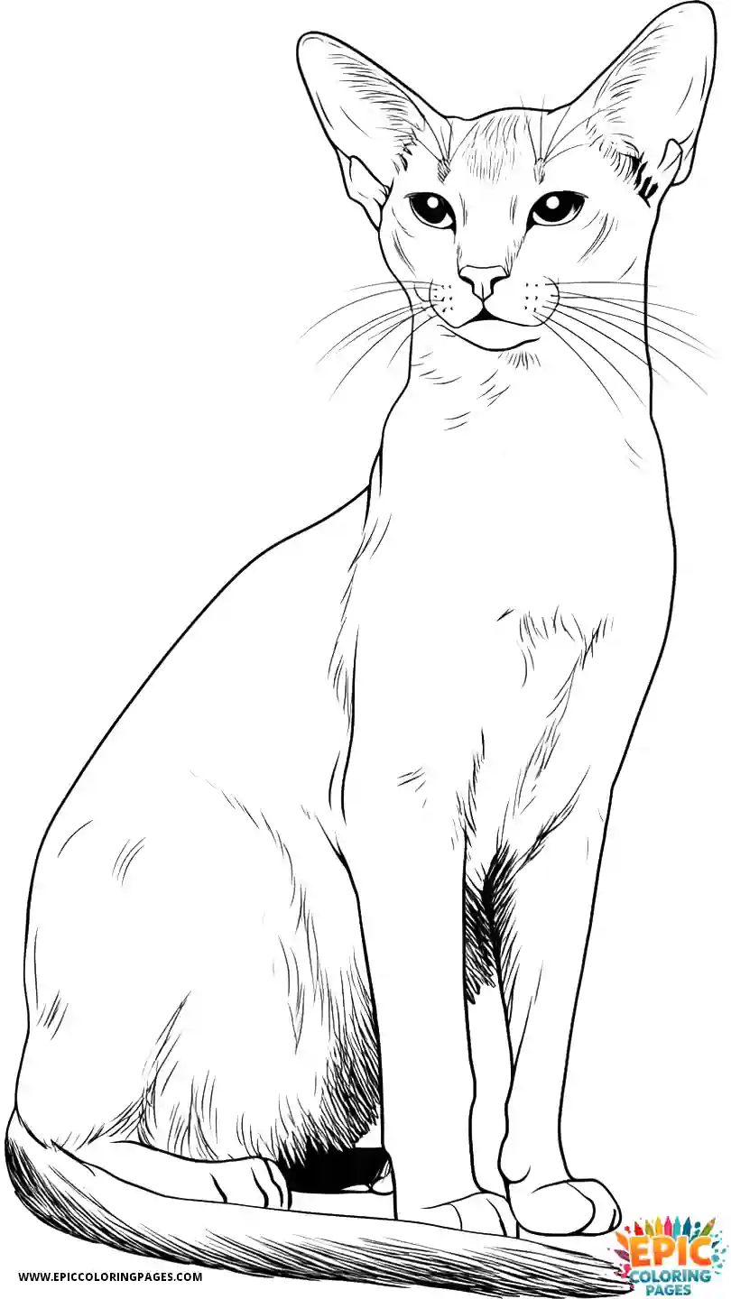 Abyssinian Cat Cute Abyssinian cat manga with friendly look