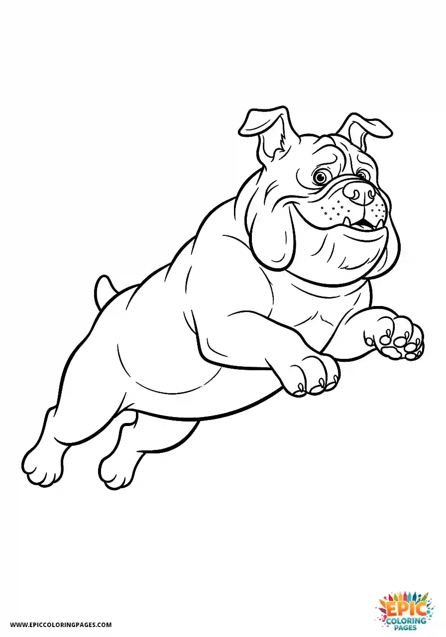 Alapaha Blue Blood Bulldog Action shot of an Alapaha blue blood bulldog powerfully leaping through the air