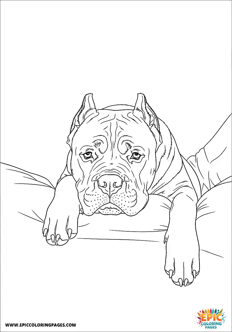 Cane Corso Dog Realistic Resting Head On A Lap For Adults Cane Corso dog realistic resting head on a lap for adults