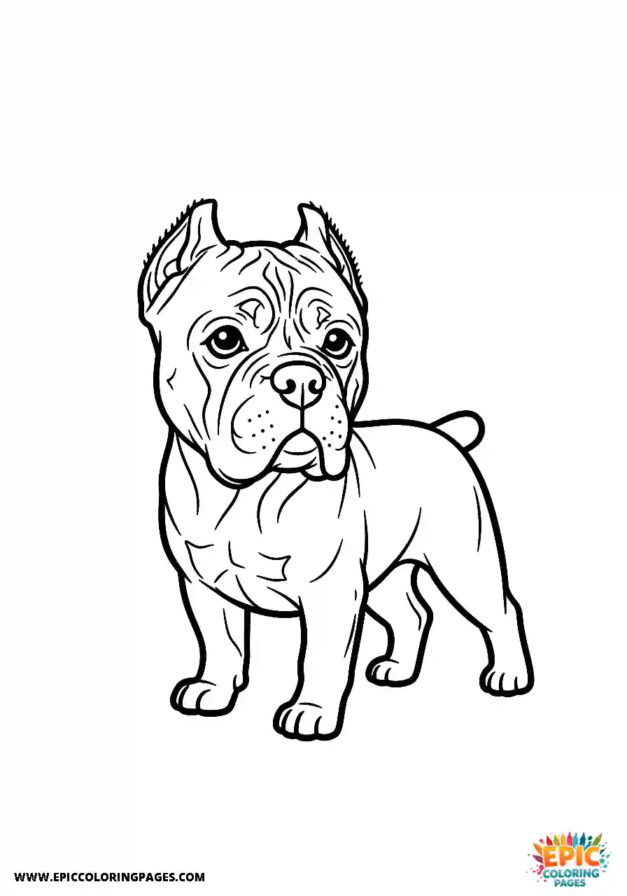 Cane Corso Dog Shown From A Three Quarter Angle While Standing Cane Corso dog shown from a three quarter angle while standing with thick lines