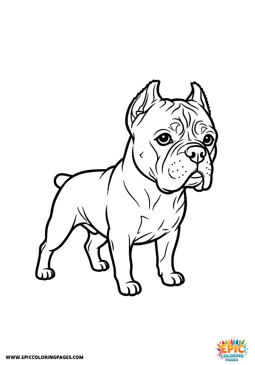Cane Corso Dog Standing With A Slight Turn In Chibi Style Cane Corso dog coloring sheet standing with a slight turn in chibi style