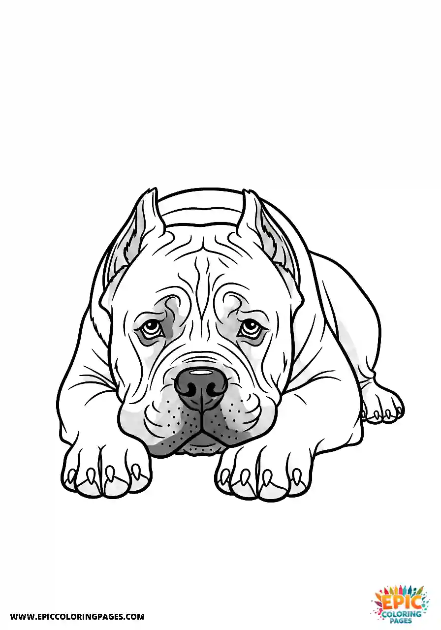 Cane Corso Dog With Head Resting Gently On Front Paws Cartoon Style Cane Corso dog with head resting gently on front paws cartoon style